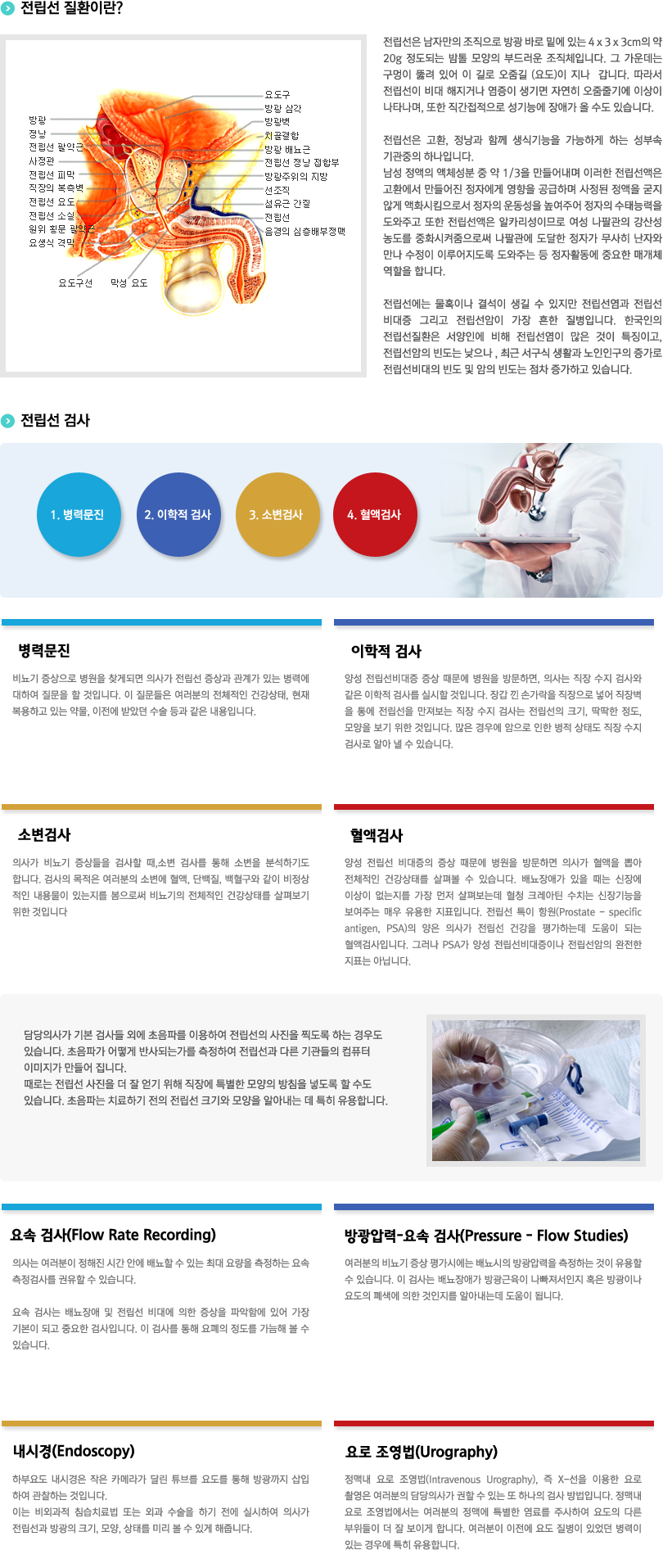 전립선질환이란