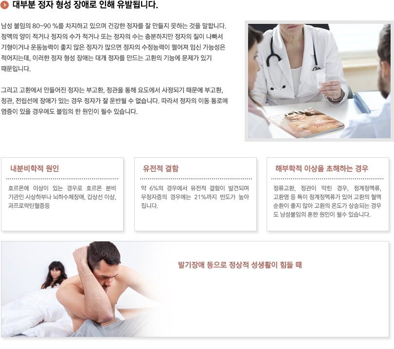남성불임의 원인